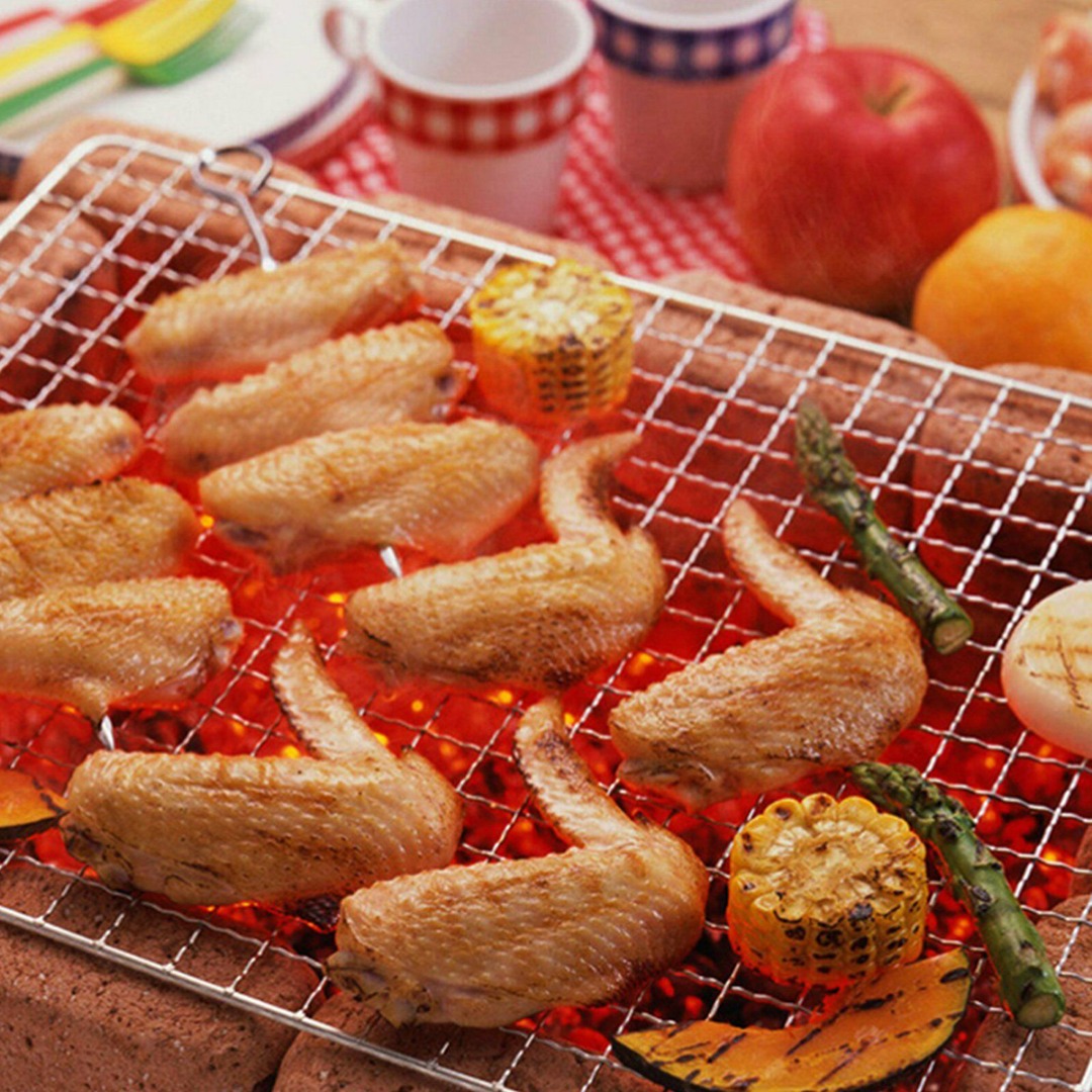 1pcs/2pcs 50 * 38cm BBQ Grill  - Camping Cooking Vegetables 리뷰 및 가격